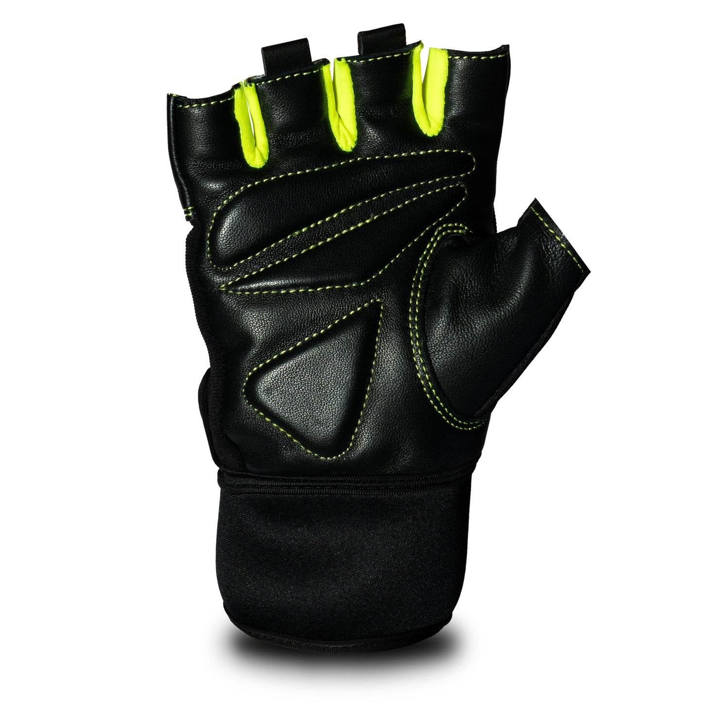 SG Shield Gloves(Gym)