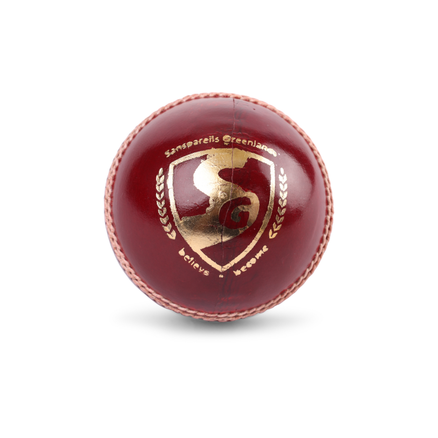 SG Tournament Red Cricket Leather Ball