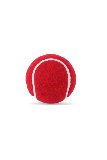 SG Spark Synthetic Ball