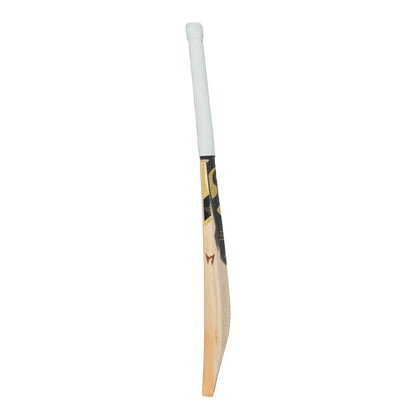 SG HP T-20 English Willow Cricket bat