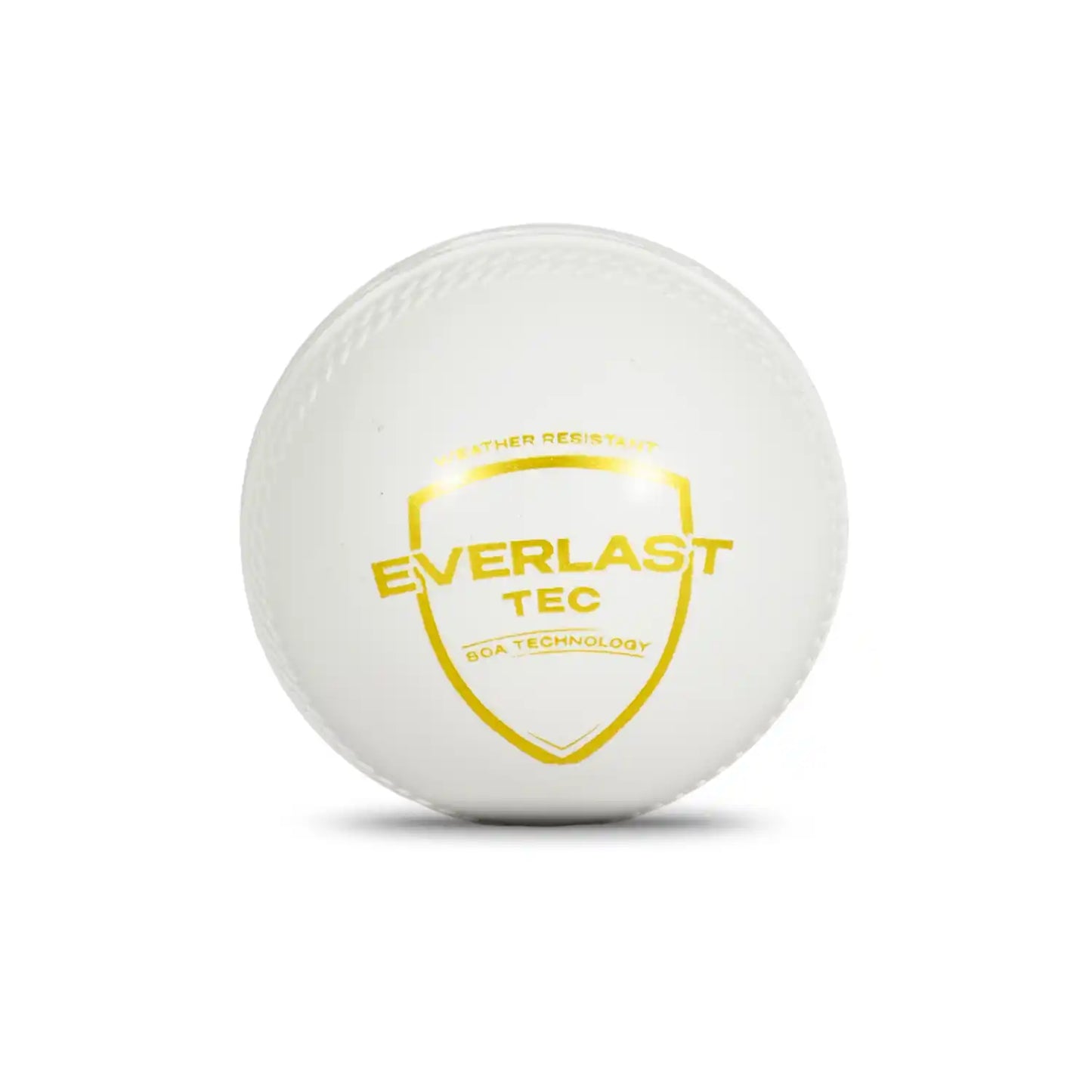 SG Everlast Tec Synthetic Cricket Ball (White)